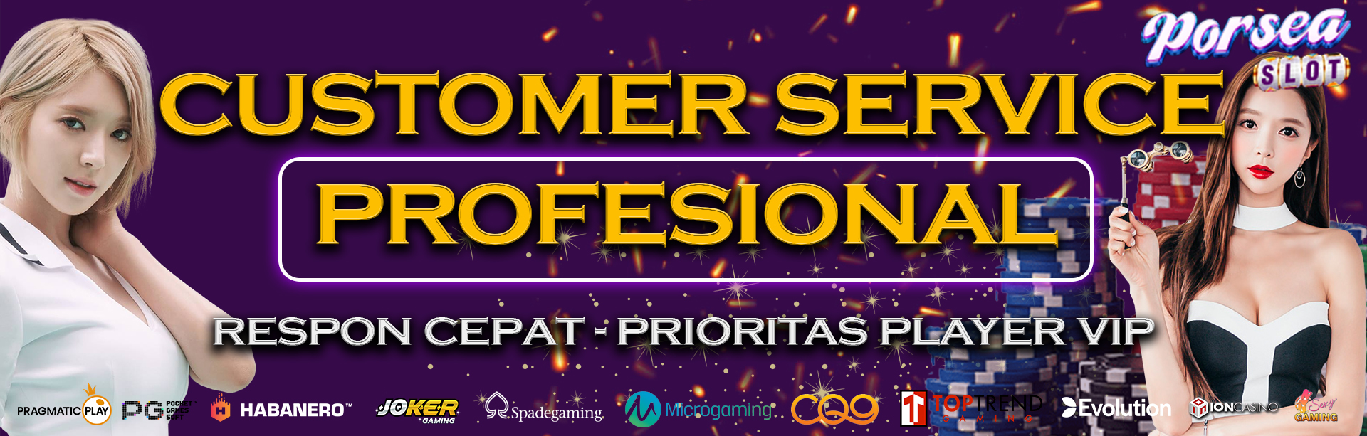 CUSTOMER SERVICE PROFESIONAL