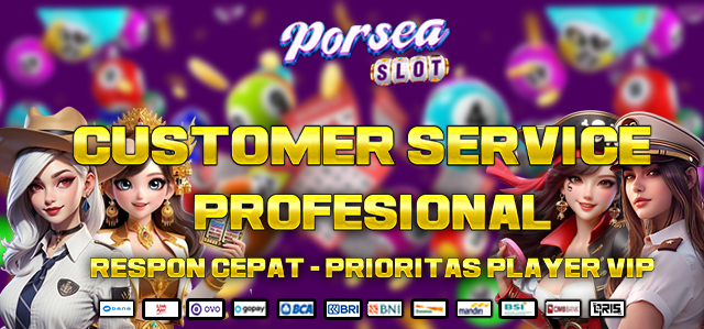 CUSTOMER SERVICE PROFESIONAL